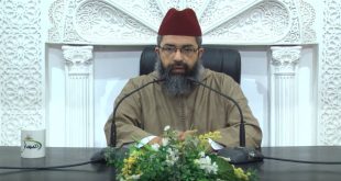 مرافئ تربوية – الدكتور عصام البشير المراكشي